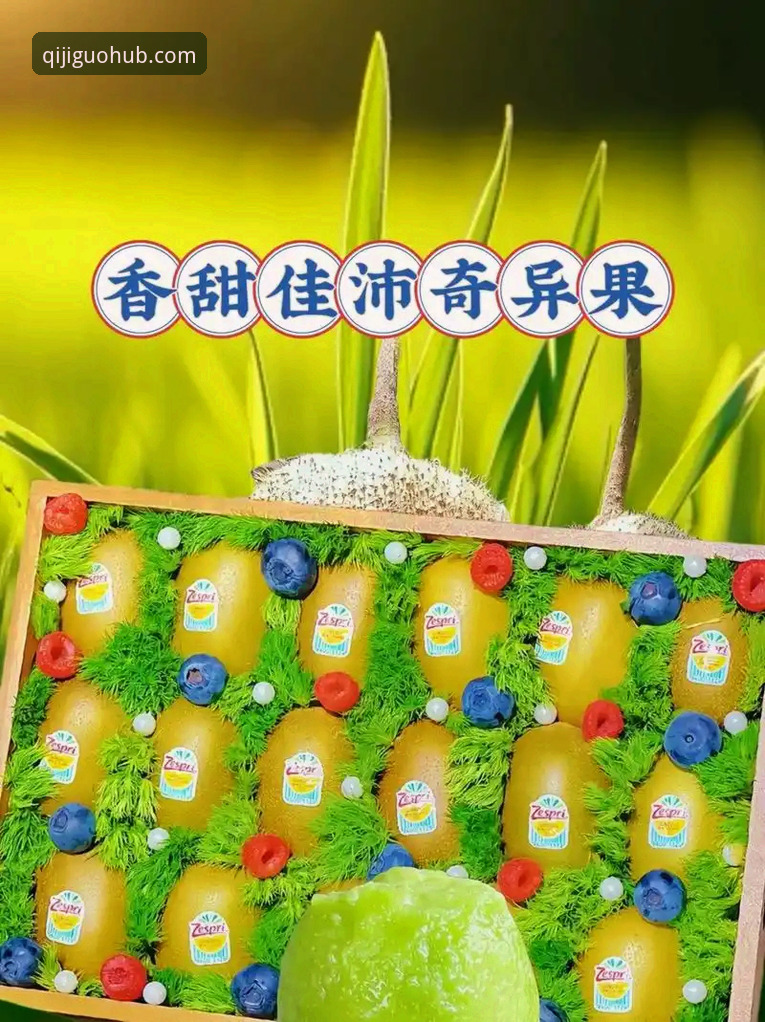 奇异果体育官网最新动态：解决安装失败与K7H9版本更新核心问题全解析